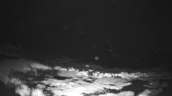 Weather camera view of Outer Island  (Thimble Island Group).