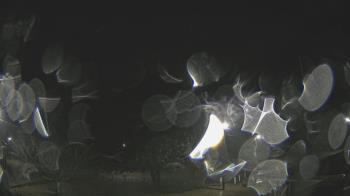 Weather camera view of Hope of the Generations Church.