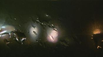 Weather camera view of Christ the King School.