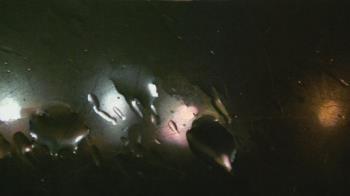 Weather camera view of Christ the King School.