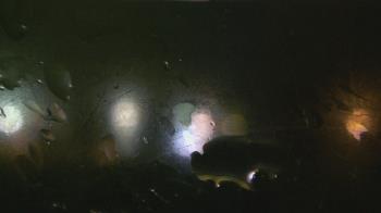 Weather camera view of Christ the King School.