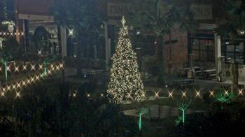 Weather camera view of Armature Works.