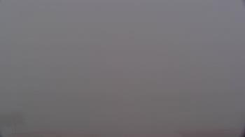 Weather camera view of Renaissance Tampa International Plaza Hotel.