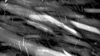 Weather camera view of Line Mountain ES Trevorton.