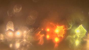 Weather camera view of Gesu School.