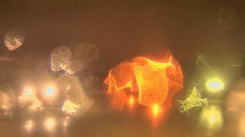 Weather camera view of Gesu School.