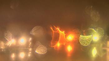 Weather camera view of Gesu School.