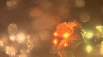 Weather camera view of Gesu School.