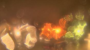 Weather camera view of Gesu School.