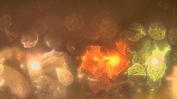 Weather camera view of Gesu School.