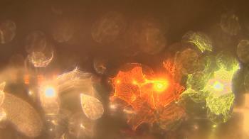 Weather camera view of Gesu School.