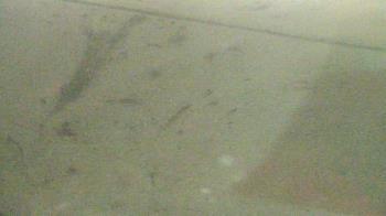 Weather camera view of DeTar Women / Children Hosp.