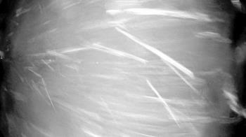 Weather camera view of Village Links of Glen Ellyn.