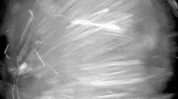 Weather camera view of Village Links of Glen Ellyn.