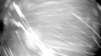 Weather camera view of Village Links of Glen Ellyn.