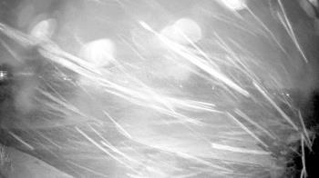 Weather camera view of Village Links of Glen Ellyn.