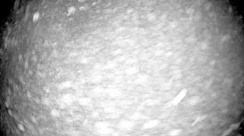 Weather camera view of Village Links of Glen Ellyn.