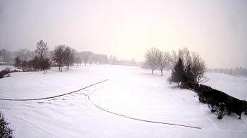 Weather camera view of Village Links of Glen Ellyn.