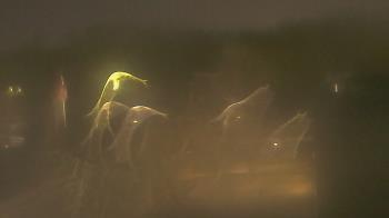 Weather camera view of Dag Hammarskjold MS.