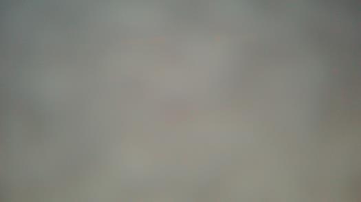 Weather camera view of Forest Lawn Beach.