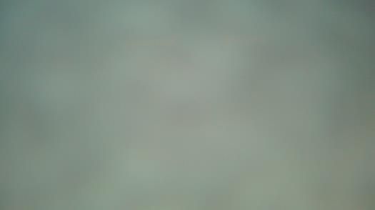 Weather camera view of Forest Lawn Beach.