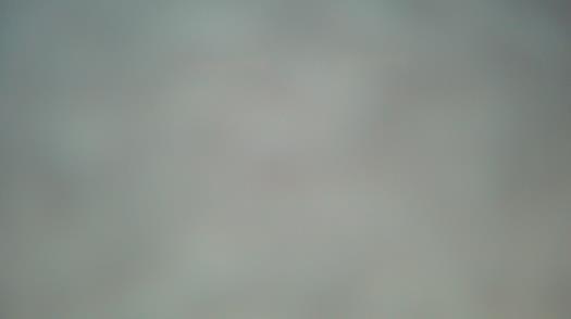 Weather camera view of Forest Lawn Beach.