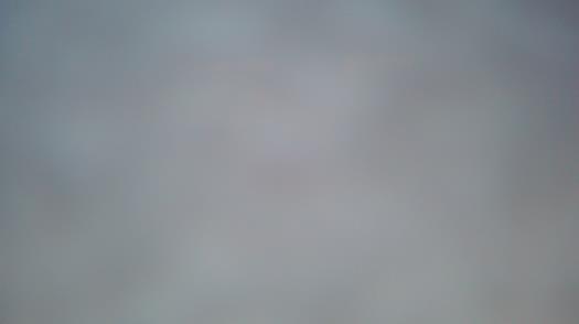 Weather camera view of Forest Lawn Beach.