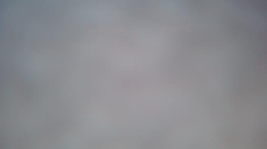 Weather camera view of Forest Lawn Beach.