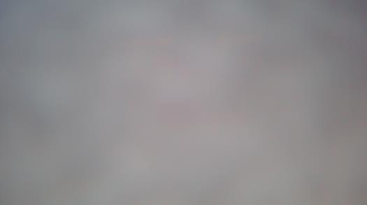 Weather camera view of Forest Lawn Beach.