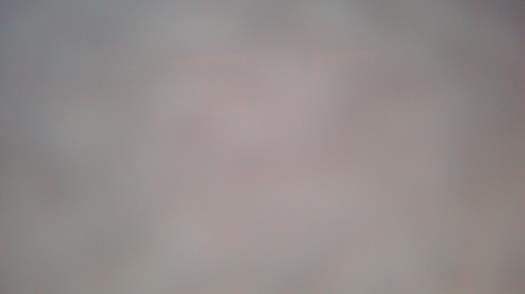 Weather camera view of Forest Lawn Beach.