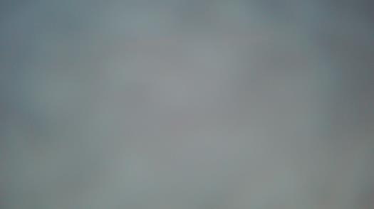 Weather camera view of Forest Lawn Beach.