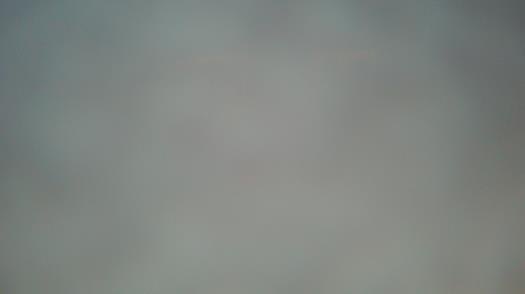 Weather camera view of Forest Lawn Beach.