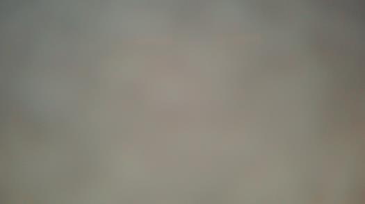 Weather camera view of Forest Lawn Beach.