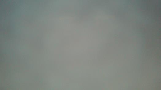 Weather camera view of Forest Lawn Beach.