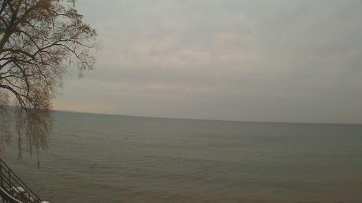 Weather camera view of Forest Lawn Beach.