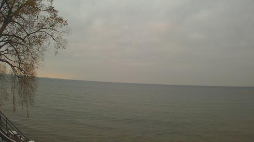 Weather camera view of Forest Lawn Beach.