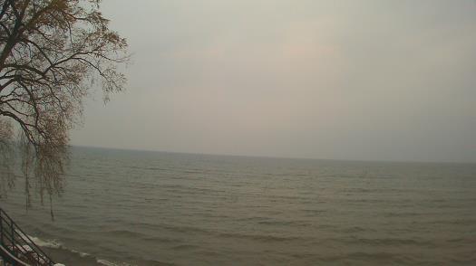 Weather camera view of Forest Lawn Beach.