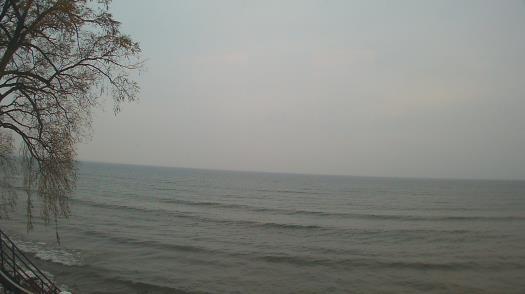 Weather camera view of Forest Lawn Beach.