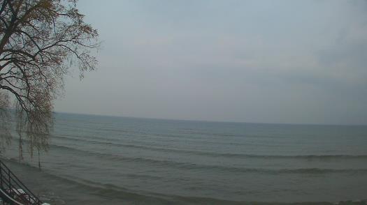 Weather camera view of Forest Lawn Beach.