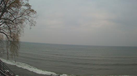 Weather camera view of Forest Lawn Beach.