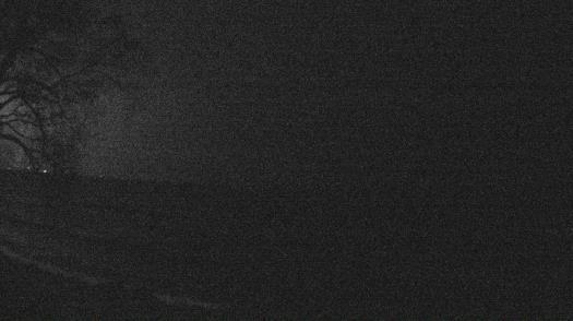 Weather camera view of Forest Lawn Beach.