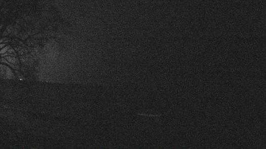 Weather camera view of Forest Lawn Beach.