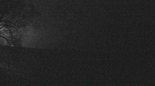 Weather camera view of Forest Lawn Beach.