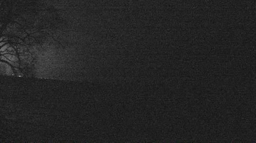 Weather camera view of Forest Lawn Beach.