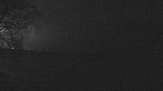 Weather camera view of Forest Lawn Beach.