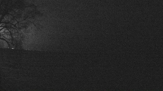 Weather camera view of Forest Lawn Beach.