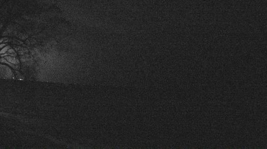 Weather camera view of Forest Lawn Beach.