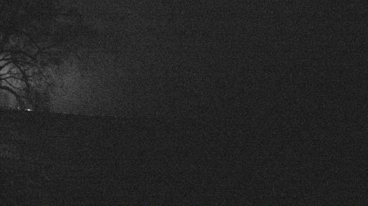 Weather camera view of Forest Lawn Beach.