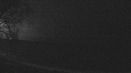 Weather camera view of Forest Lawn Beach.