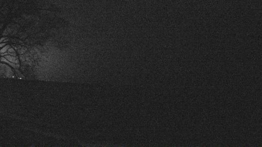 Weather camera view of Forest Lawn Beach.